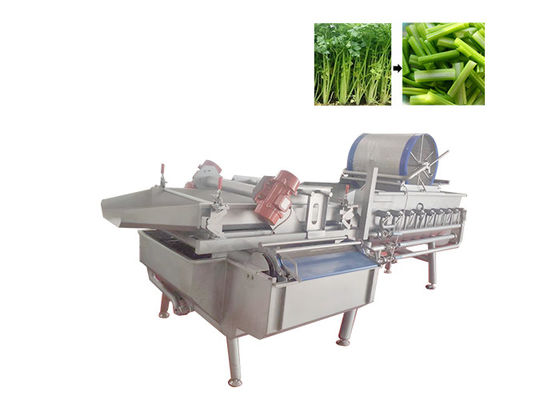 CE Disetujui Mesin Cuci Sayuran Brokoli Lettue 1 Ton / Jam