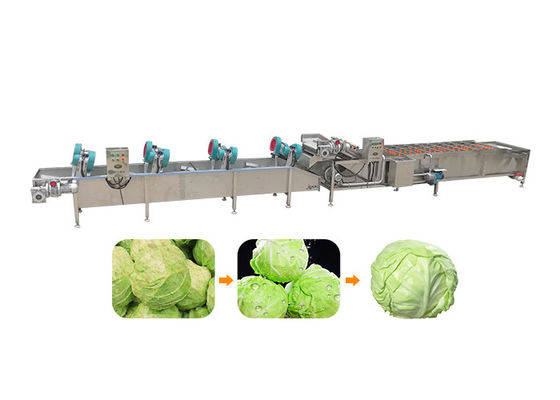 5.1KW 380v 50hz 1500kg / H Mesin Pembersih Sayuran