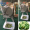 Pemrosesan Makanan Otomatis 300-1000KG / H Restaurant Electric Vegetable Onion Cutter Mchine