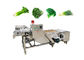 Mesin Cuci Sayur Buah 380V Dengan Conveyor