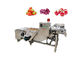 Mesin Cuci Sayuran Dan Buah 500kg / Jam Portabel