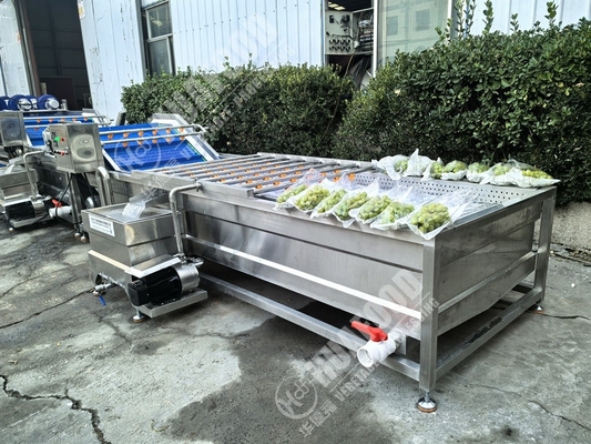 Mesin Cuci Buah dan Sayuran dengan Bulu dan Tegangan 220V
