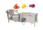 SUS304 Mesin Cuci Gelembung Sayuran Dan Buah 500kg / H Mesin Pembersih Makanan