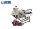 500kg / jam Mesin Cuci Sayur Mesin Pengolah Anggur Menjadi Kismis