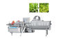 1000kg / H Mesin Pemotong Selada Pemotong Daun Hijau Untuk Sayuran Salad Buah